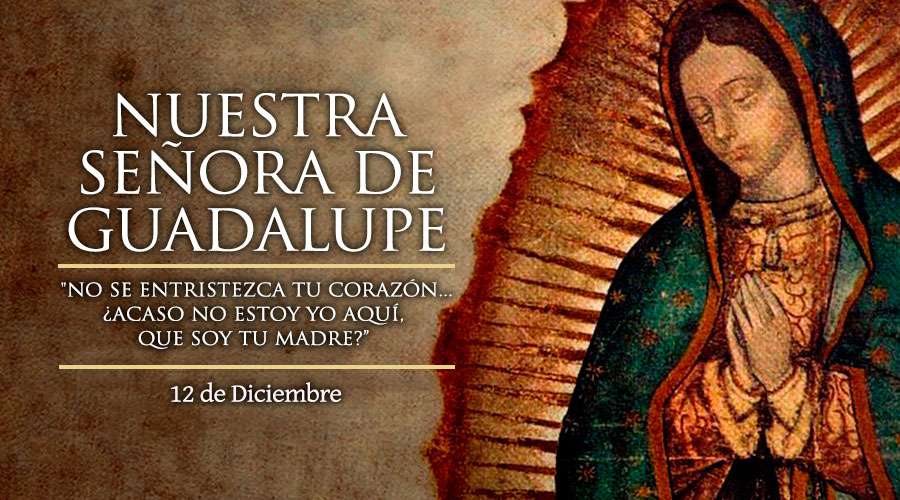 SenoraGuadalupe_12Diciembre