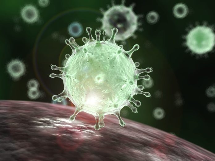 coronavirus en Argebtina