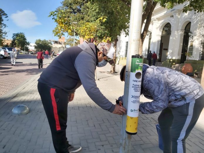 Colilleros en la ciudad