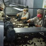 El Gobernardor visitó a productores 5