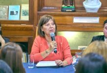 Advierten que la reforma de la Ley de Glaciares es un “retroceso inaceptable”