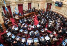 Senado: hoy asumen 23 legisladores electos y persiste el conflicto por Villaverde