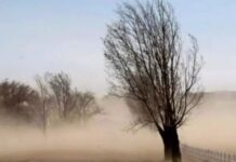 Alerta amarilla por fuertes vientos para Catamarca