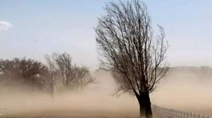 576675817_1816828305792160_5298213625399385223_n