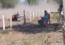 Tragedia en Santiago del Estero: un jinete murió luego de ser aplastado por su caballo