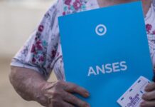 ANSES: el pago único de $100.000 que se otorgará en noviembre 2025