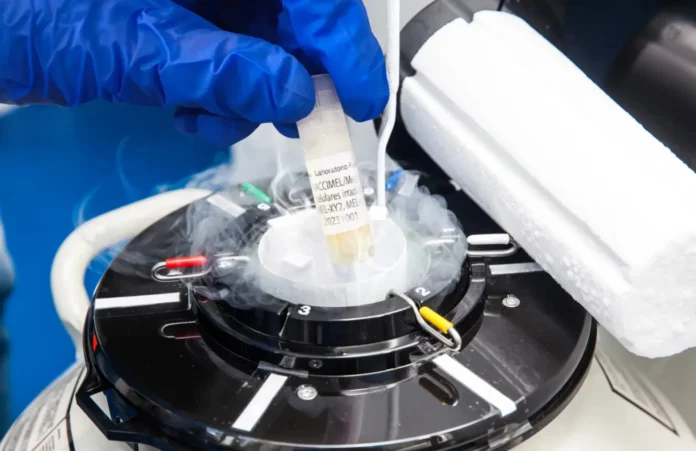 inbound3922186153856872194