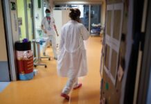 Brote de gripe H3N2: quiénes deben vacunarse y la protección a los grupos de riesgo