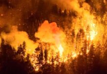 Incendios forestales: este lunes entra en vigencia la emergencia en Santa Cruz