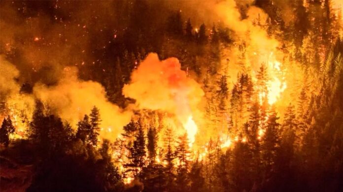 1010x567_incendios-540146-230417