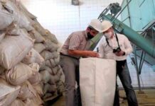 La yerba mate aumentó 7,3% en 2025 y alcanzó un récord histórico de exportaciones