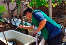 Siguen las acciones contra el Dengue en la Capital