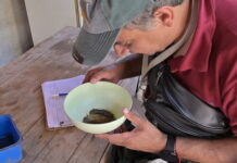 Control focal y descacharrado esta semana, en Capital