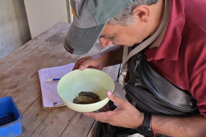 Control focal - Dengue