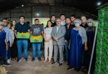 Membrillos catamarqueños llegan al Mercado Central