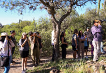 Safari fotográfico en el Pueblo Perdido de la Quebrada este martes