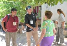 Dengue: Control focal esta semana en Capital