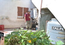 Dengue: cronograma semanal de control focal en la Capital