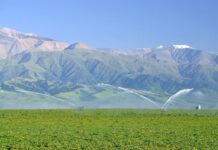 El desalojo el Campo del Pucará, la última salida que queda para hacer Justicia