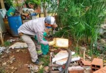 Acciones contra el Dengue en la Capital