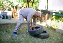 Siguen las acciones preventivas contra el Dengue