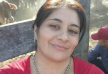 Horror en Santiago: adolescente asesinó de más de 20 puñaladas a su madre e intentó matarse