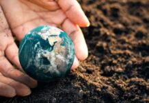 Día Mundial de la Tierra: Pequeños gestos que hacen la diferencia en su cuidado