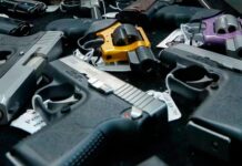 El Senado aprobó la ley de regularización y entrega voluntaria de armas hasta 2027