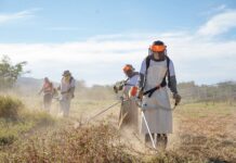 Valle Viejo intensifica operativos de limpieza y mantenimiento en los barrios