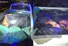 Aprehenden a seis personas, secuestran camioneta y carne vacuna
