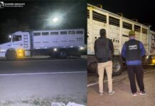 Secuestran animales bovinos en Fray Mamerto Esquiú