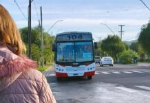 Rige el 50% de descuento en colectivo urbano