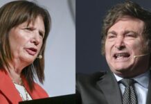Tensión en La Libertad Avanza: Bullrich puso su renuncia a disposición de Milei
