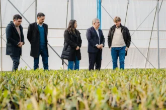 Raul Jalil, vivero fray mamerto esquiu